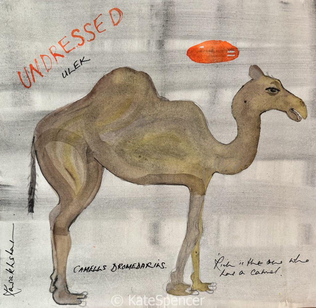 UNDRESSED